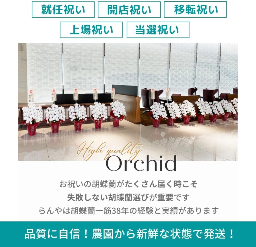 八木勇征 BOT Big アクリルスタンド Amazon.co.jp: BATTLE OF TOKYO