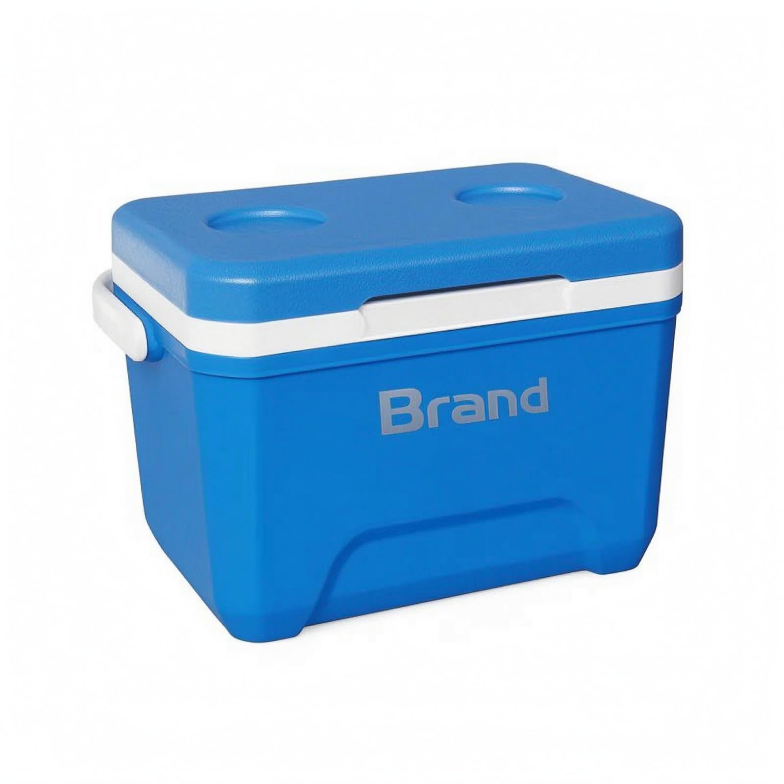 Caja Térmica Portátil 6 litros Hielera Portátil Aislante PU Hielera Rígida