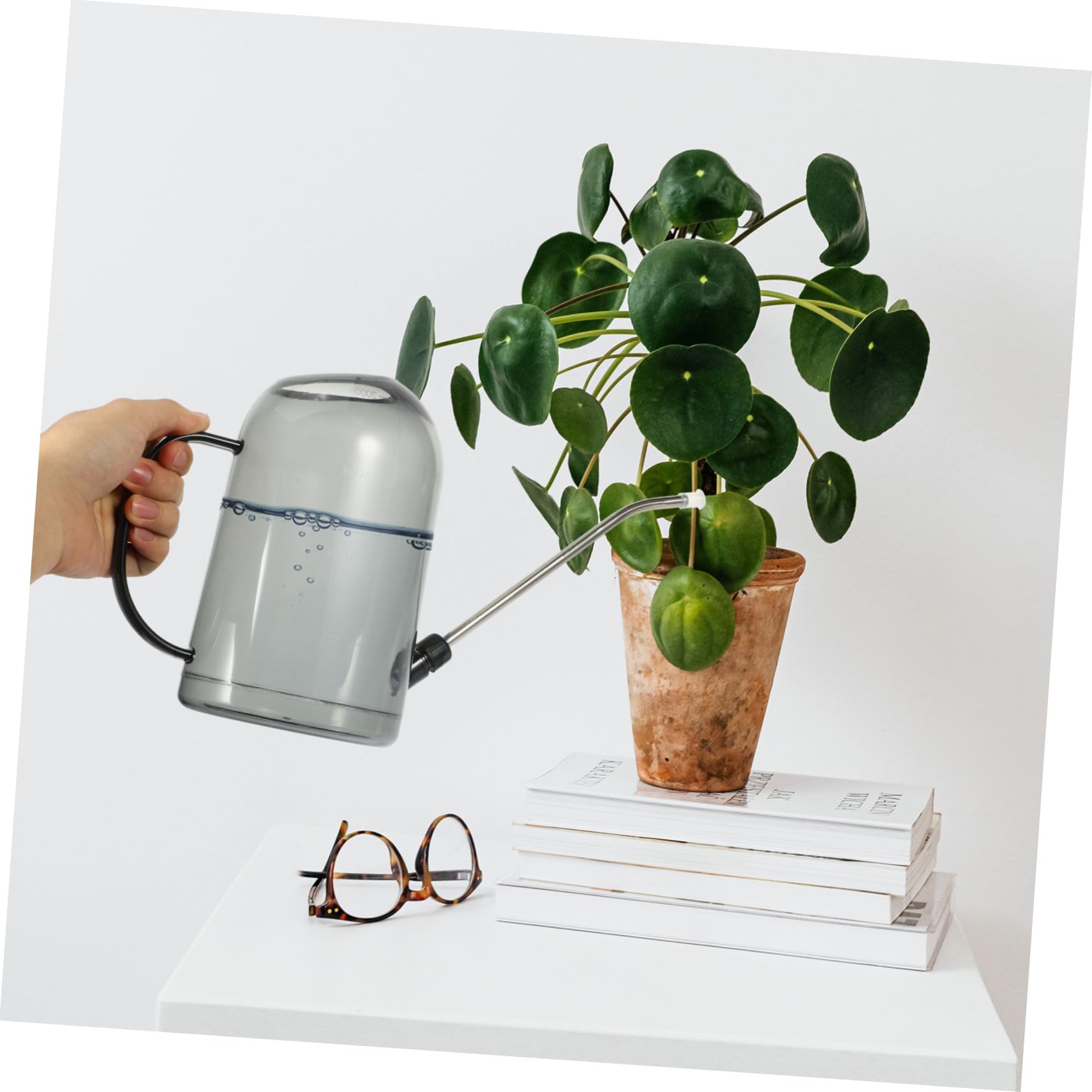 Annaffiatoio da Giardino 2l in Abs e Acciaio Inox Beccuccio