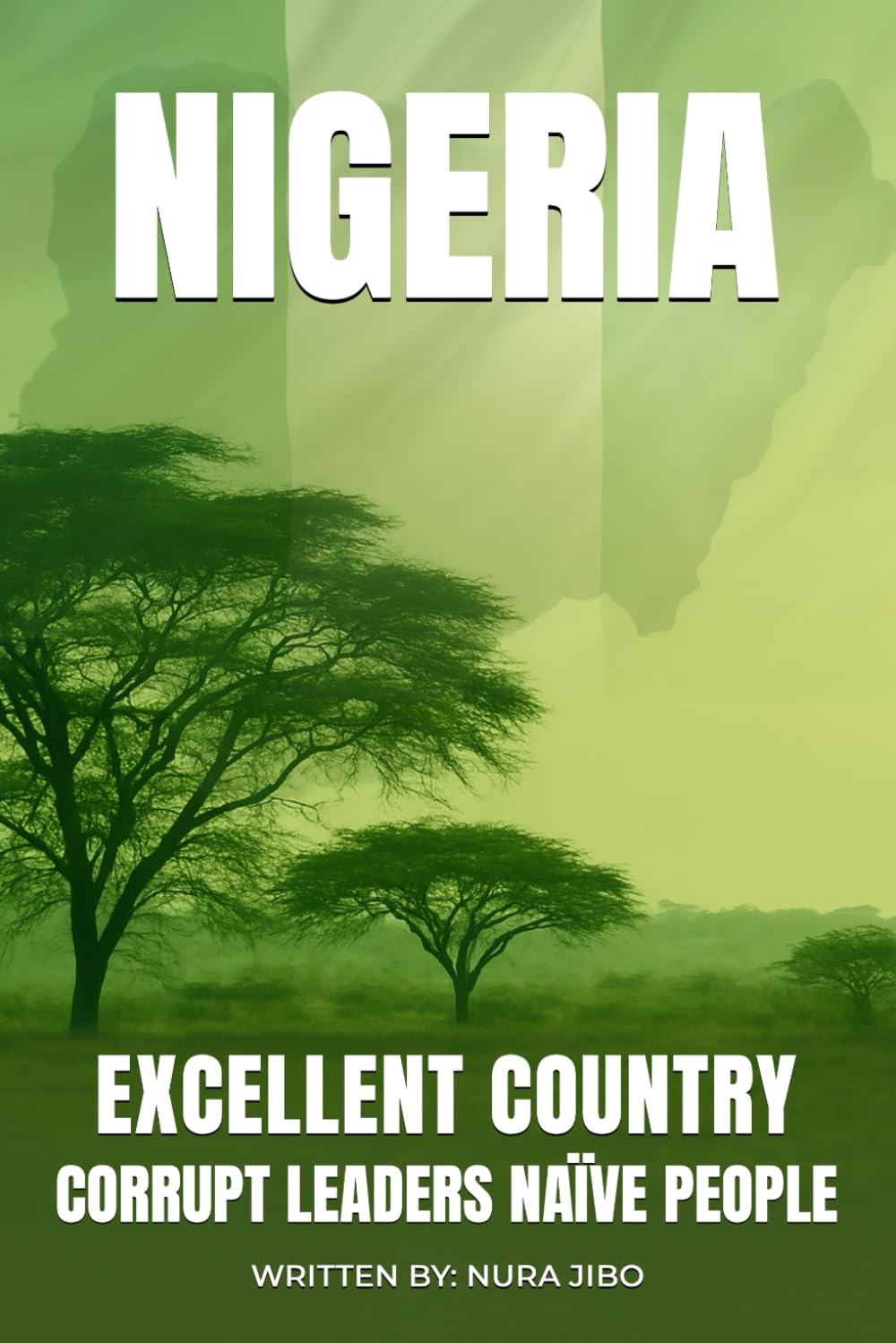Nigeria Excellent Country: Corrupt Leaders Naïve People