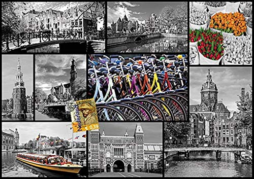 Trefl - Puzzle de 1000 Piezas (40.1x27 cm) (10352)