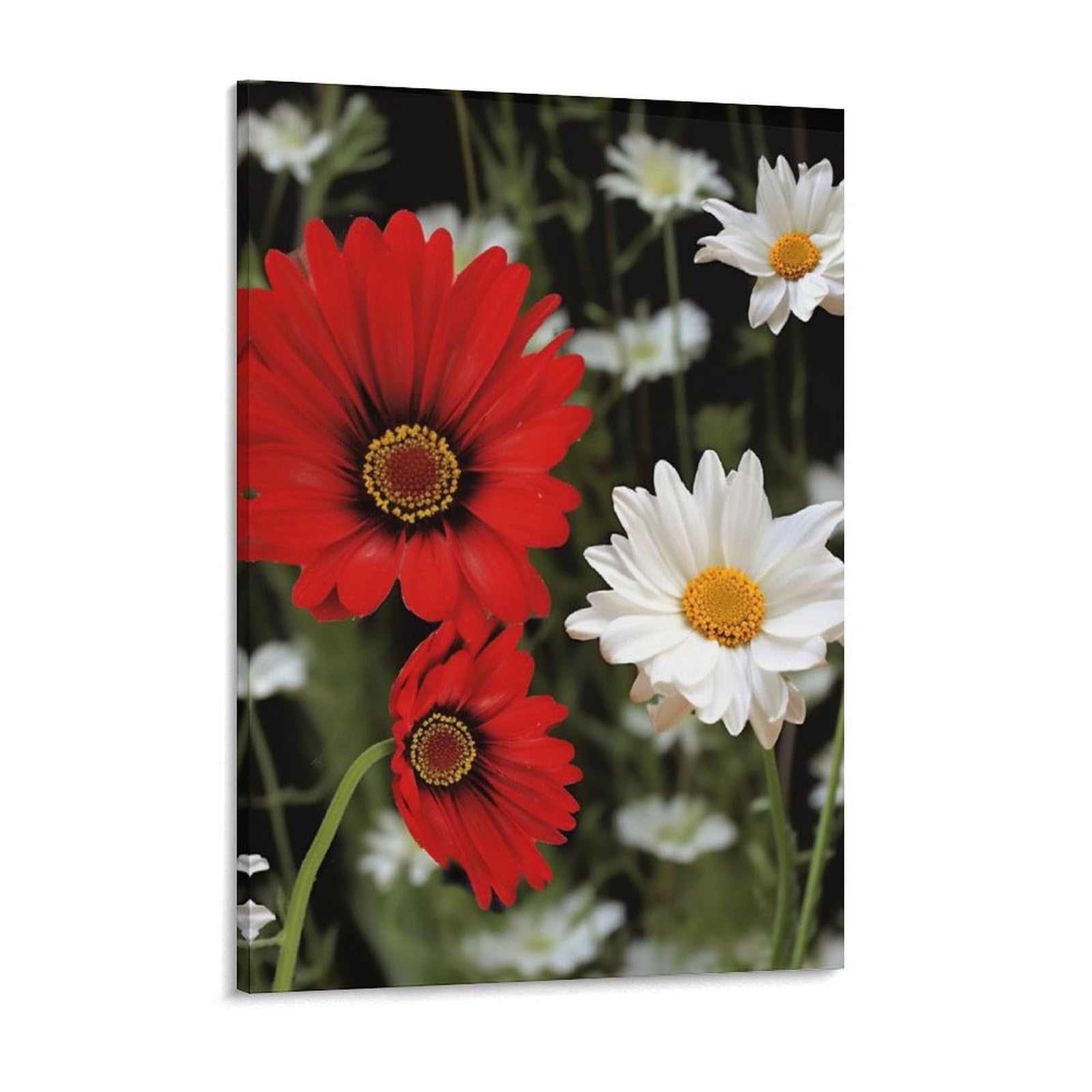 NTVOWPZO Red Flower And White Daisy Canvas Wall Art for Bedroom 12x16inch Canvas Prints Artwork for Walls Modern Picture Artwork Painting for Living Room Aesthetic Wall Paintings for Bathroom Kitchen