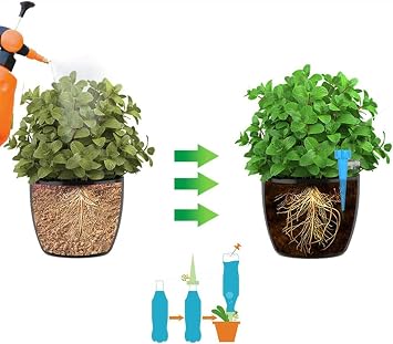 TransForMacion Çiçek Damlama Sulama Şişe Aparat Seti 3 Şişe 714002
