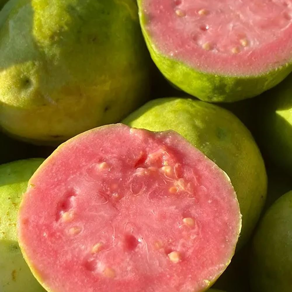 Guayabas | Comprar guayabas dulces recién recolectadas, de cultivo sostenible en España y enviadas directamente del agricultor (3 Kg)