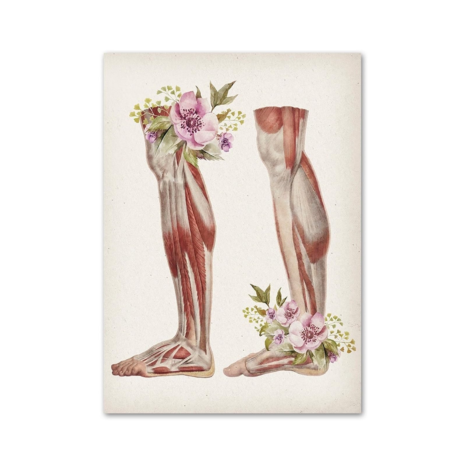 Médecine et fleurs en affiche décorative et peinture sur toile salon moderne 21x30cm