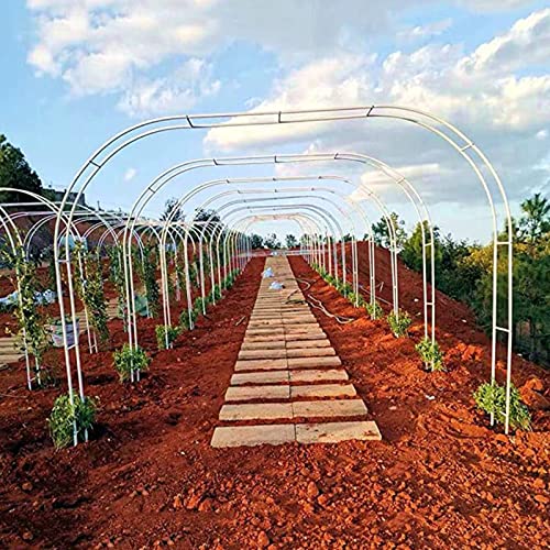 Structure de verdure extérieure en métal robuste et finitions haut de gamme