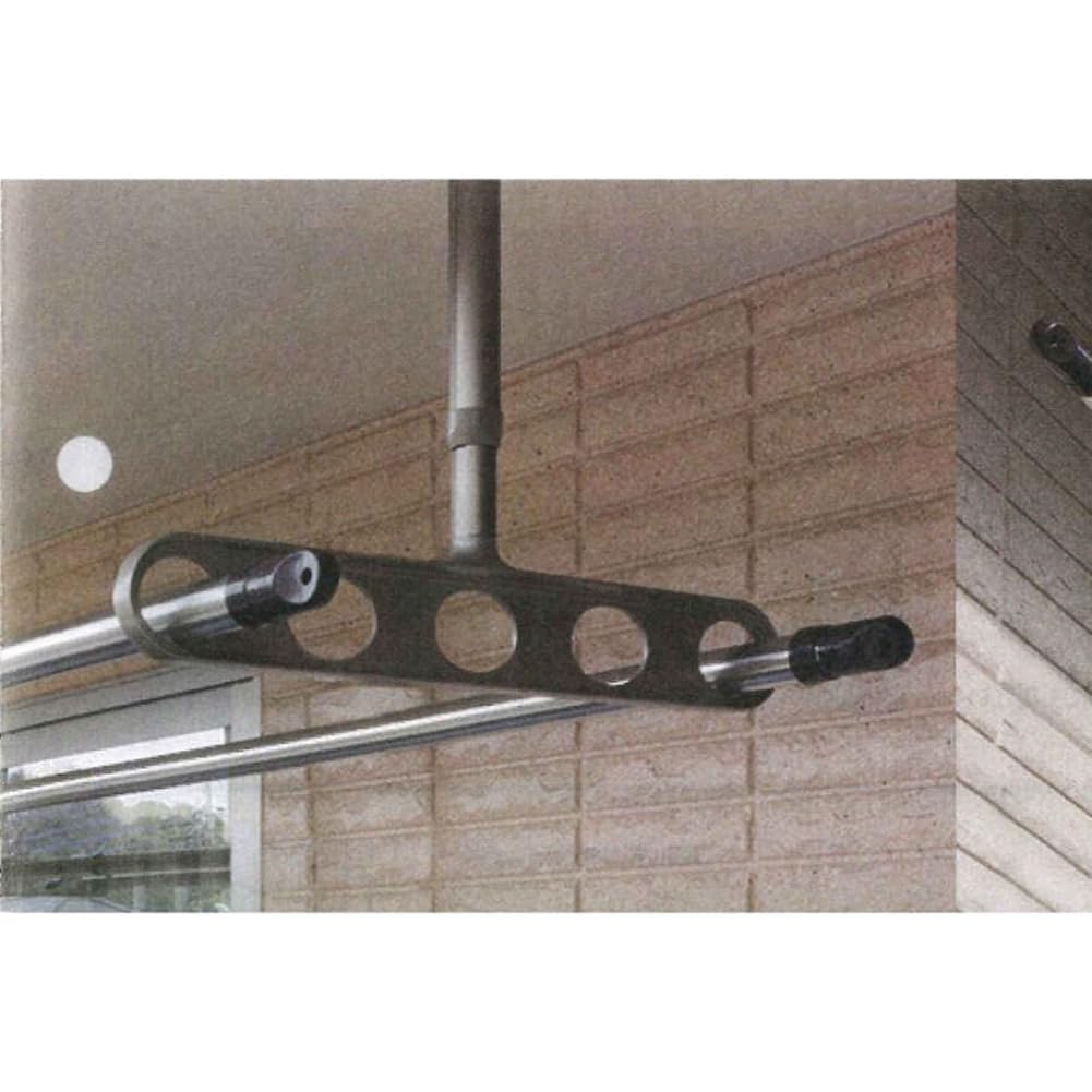 Amazon | 川口技研 軒天用物干し ホスクリーン ZA-0745-ST