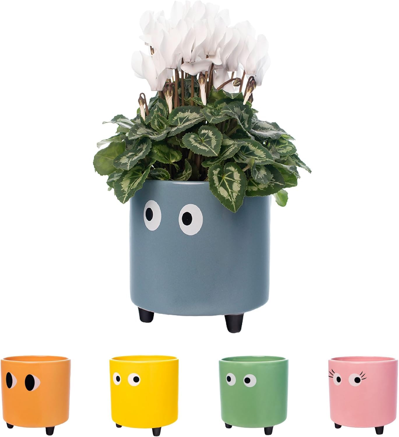 Fisura - Original Eyes Plant Pot - Indoor Ceramic Planter with Legs for Cactus & Succulents, Decorative Flower Pot, Gift Idea for Plant Lovers, 13 x 12.5 cm (Blue)