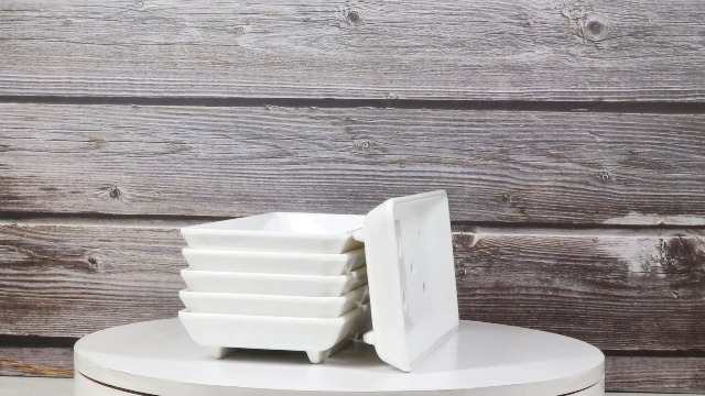 Amazon.com | Ebros Gift Japanese Cuisine White Melamine Neta Zara