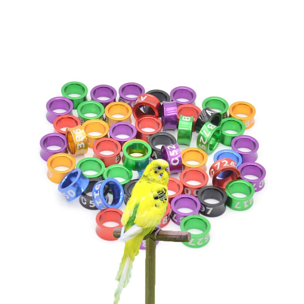 CARYZ Cavigliera per Piccione, Zampa di Pollo, Cintura identificativa per Piccione, Anello per cavigliera, Cinturino per Gamba di Piccione (Numero di Colore Casuale) 200pz Mixed colors7.0mm