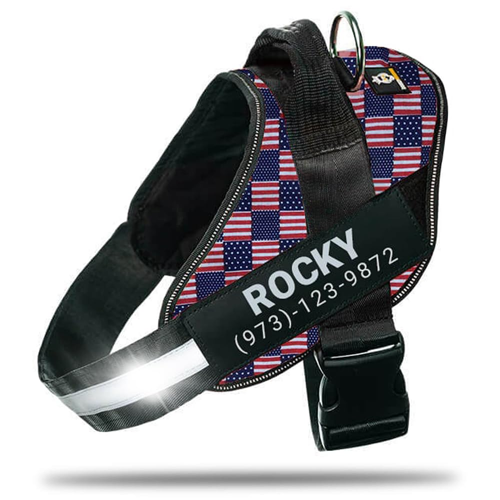 DOGGYKINGDOM Personalized No-Pull Dog Harness with Name Patch, Adjustable, Reflective, Padded, Heavy Duty Pet Vest to Prevent Tugging, Pulling, or