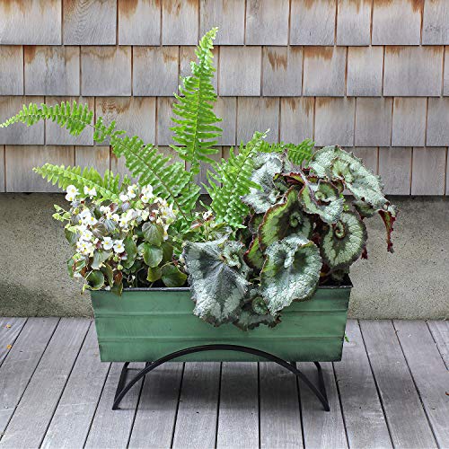Achla Designs Vfb-05-S Odette Medium Green Flower Planter Window Box With Stand #TOP3