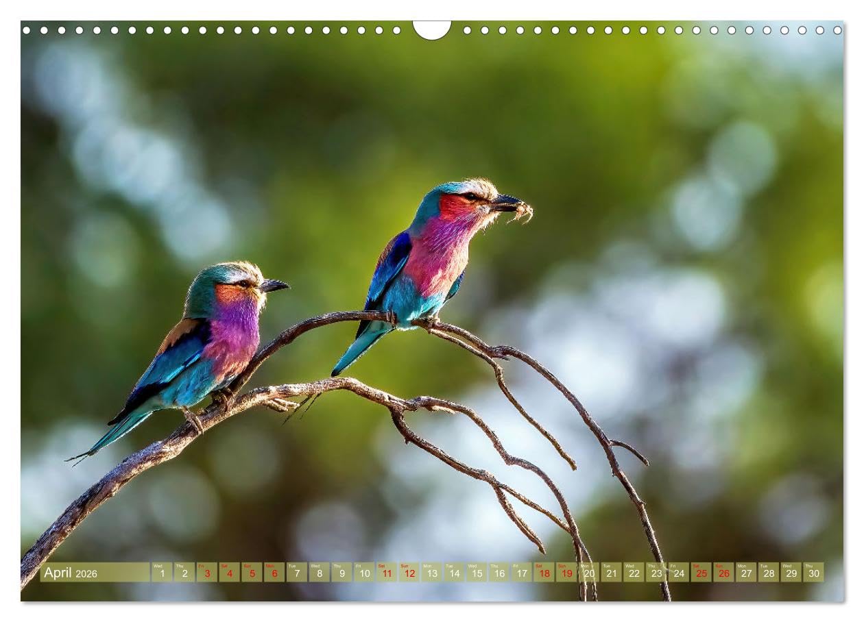 View 8