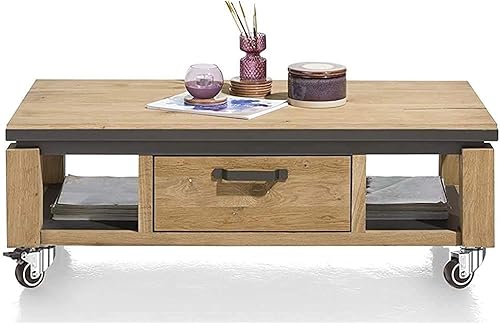 Miniatura 8 de GBL Ruedas giratorias pequeñas de 1 pulgada con 2 frenos, 516 pulgadas, 18 x 45 pulgadas (diámetro del vástago, 516 pulgadas, longitud 45 pulgadas),