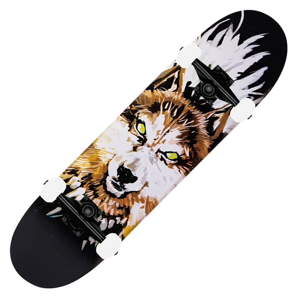 Amazon.com : WZFANJIJ Skateboard for Beginners, 31 inch 9 Layers