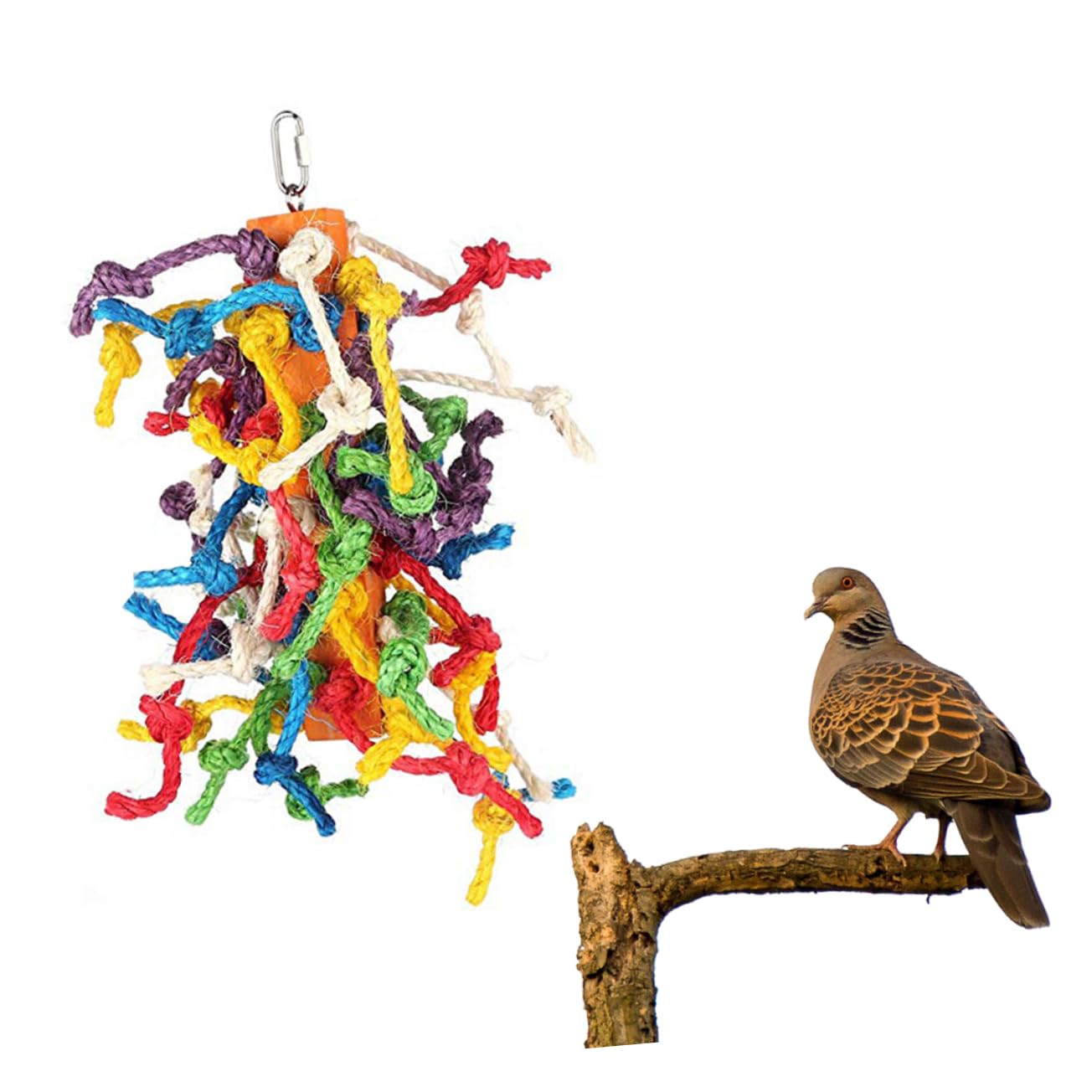 Toddmomy 3piezas Juguete para Pájaros De Cuerda Accesorio para Jaula De Periquitos y Juguete Masticable para Estimulación y Entretenimiento De Aves Pequeñas