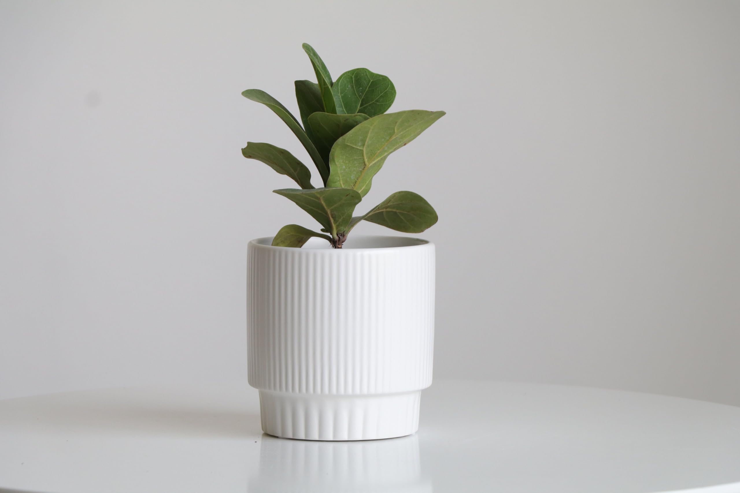 TREEPOT Ceramic Planter Pot for Indoor Plants, Living Room Decor, Garden - Elegant White Gamla, Decorative Flower Pot, Safed Mitti ka Gamla for Home - 12x13x12 cm (B0D87K1XP8) Amazon Price History, Amazon Price Tracker