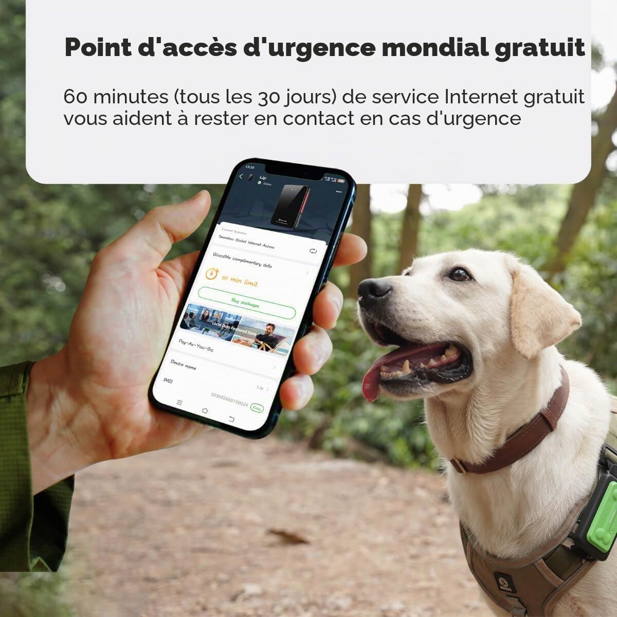 GlocalMe Tracker GPS pour chien avec 6 techniques de localisation, tracker intelligent 4G LTE, suivi en direct et historique des positions, design adapté