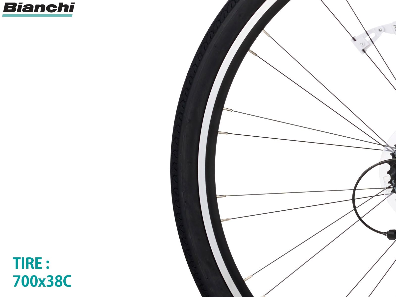 Amazon | BIANCHI(ビアンキ) 組立整備済 C-SPORT 1 Vブレーキ 3×8速