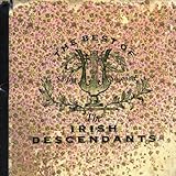 A Walk In The Irish Rain (Album Version)