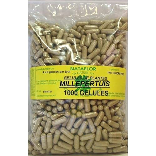 France Herboristerie GELULES MILLEPERTUIS Plante 250 MG 1000 GELULES