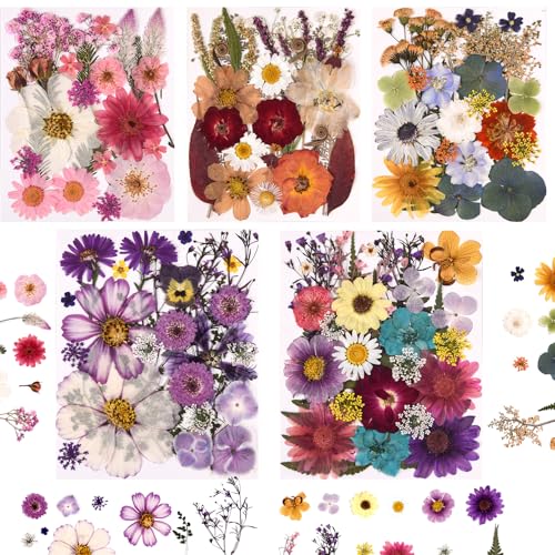 Cokosing 5 Packs of 140 Pressed Dried Flowers and Leaves Real Natural Dried Flowers with Tweezers for DIY Crafts, Resin Jewelry, Card Making, Soap, Candles,...