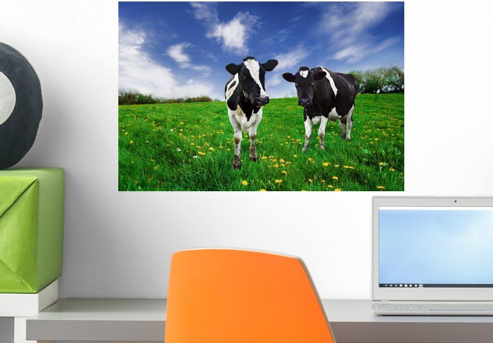 Wallmonkeys Friesian Dairy Cows in a Pasture Wall Decal Peel and Stick Graphic WM83023 (18 in W x 12 in H)