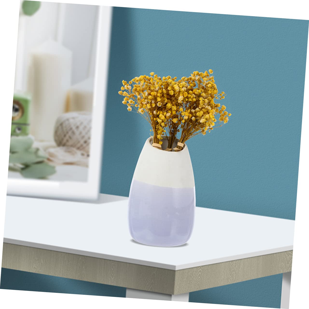 STOBAZA 30pièces Fleurs Séchées Gypsophile Artificielles Décoration De Mariage Et Maison Bouquet Dried Flowers pour Centre De Table Et Événements Spéciaux