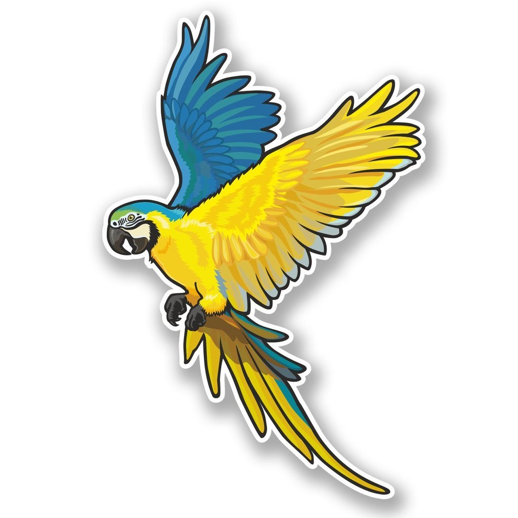 Destinationvinyl 2 X 25Cm/250Mm Exotic Bird Vinyl Self Adhesive Sticker Decal Laptop Travel Luggage Car Ipad Sign Fun #4479