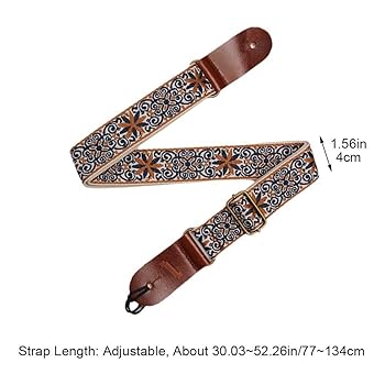 Amazon.co.jp: アコースティックギターとエレキギター用の