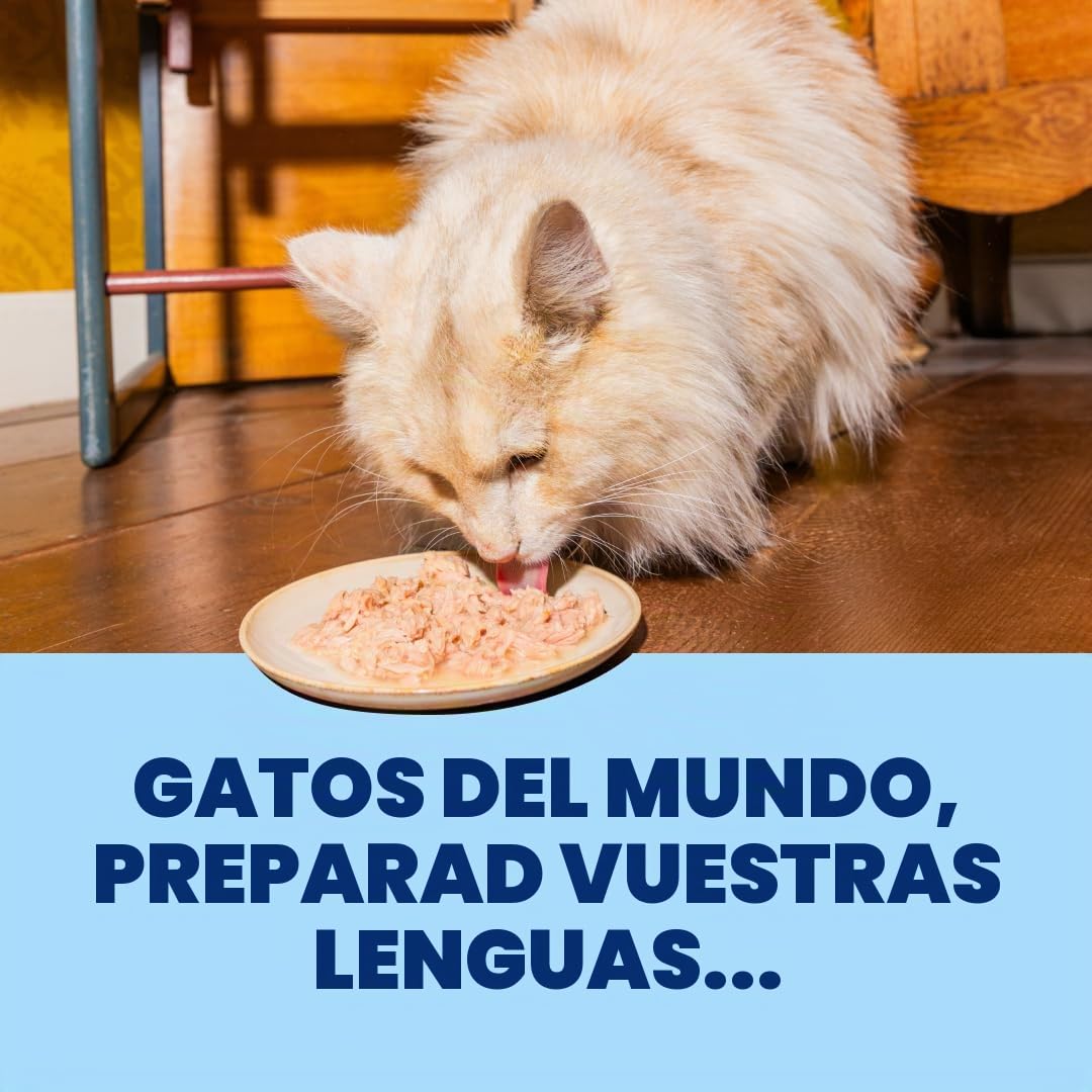 Edgard & Cooper Comida Húmeda para Gatos Adultos (Atún, 70g x 24) - Filetes Sin Cereales, Ingredientes Naturales, Carne Fresca - para Gatos Esterilizados y Activos