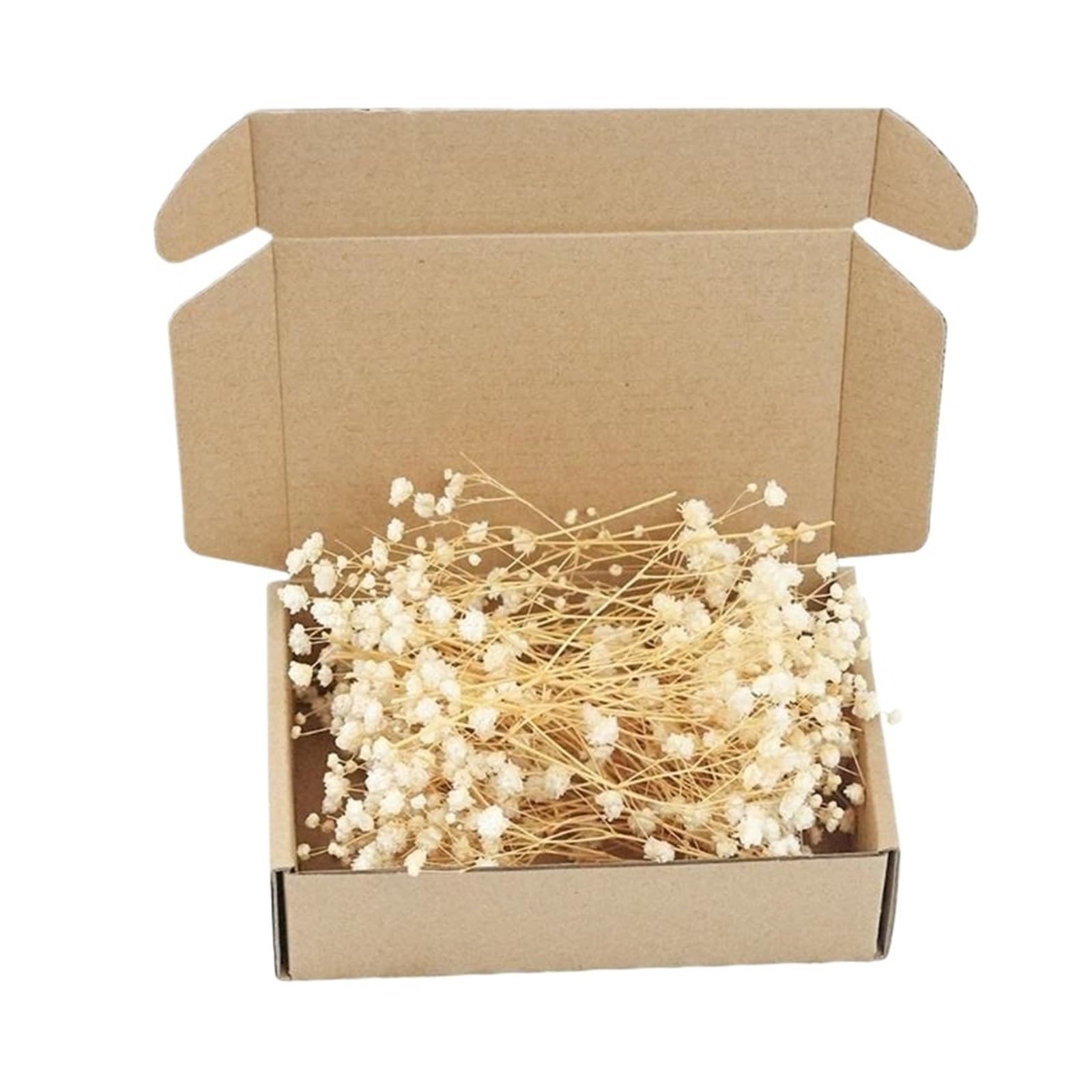 WJIAYAO dried gypsophila flowers Pack of 100 Preserved White Gypsophila Dried Flower for Home Decoration Floral Arrangements And Craft Projects(Color2)