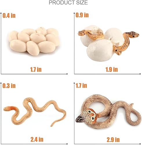 Miniatura 4 de Montessori - Figuras de insectos de animales para el ciclo de vida, juguetes de aprendizaje y educación, juguetes de insectos de plástico para