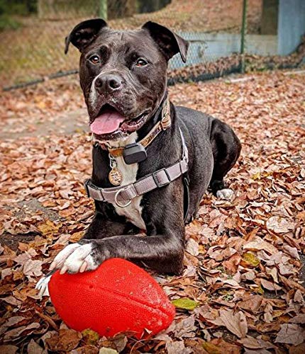 Jolly Pets Football Dog Toy, 8 Inches, Orange #TOP2