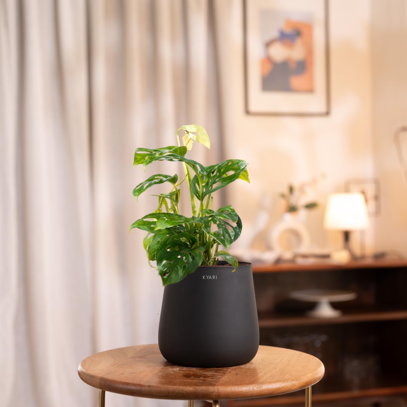 KYARI Philodendron Broken Heart Indoor Plant for Living Room | Live Plants | Plants with Jet Black Aura Self Watering Pot for Home | Office Plants | Plants for Home Decor (B0DCNPXP2R) Amazon Price History, Amazon Price Tracker