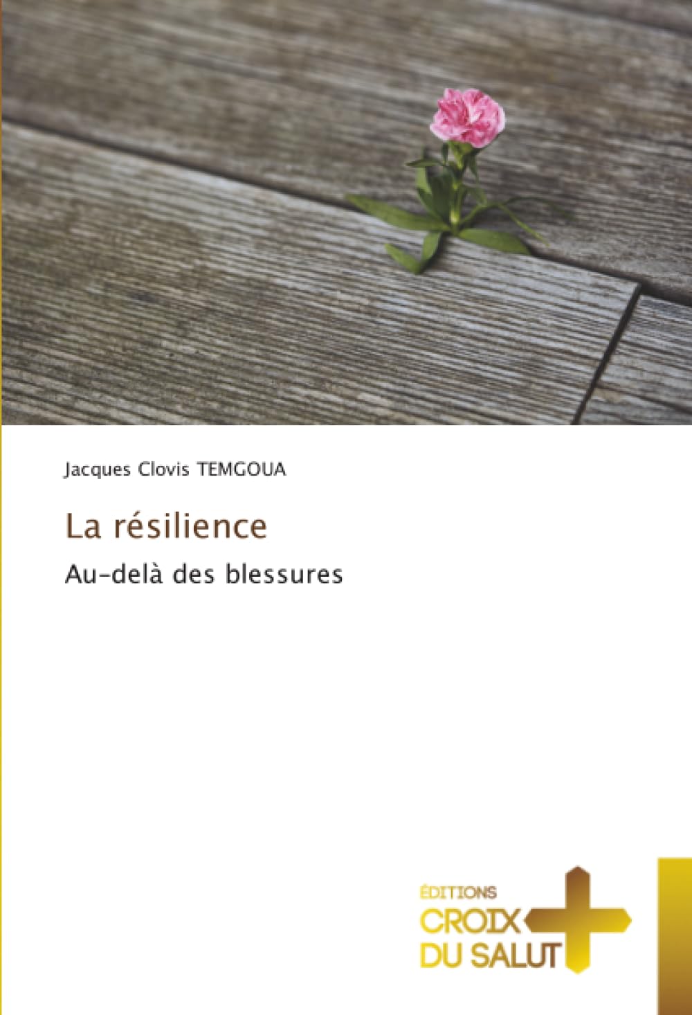La résilience: Au-delà des blessures