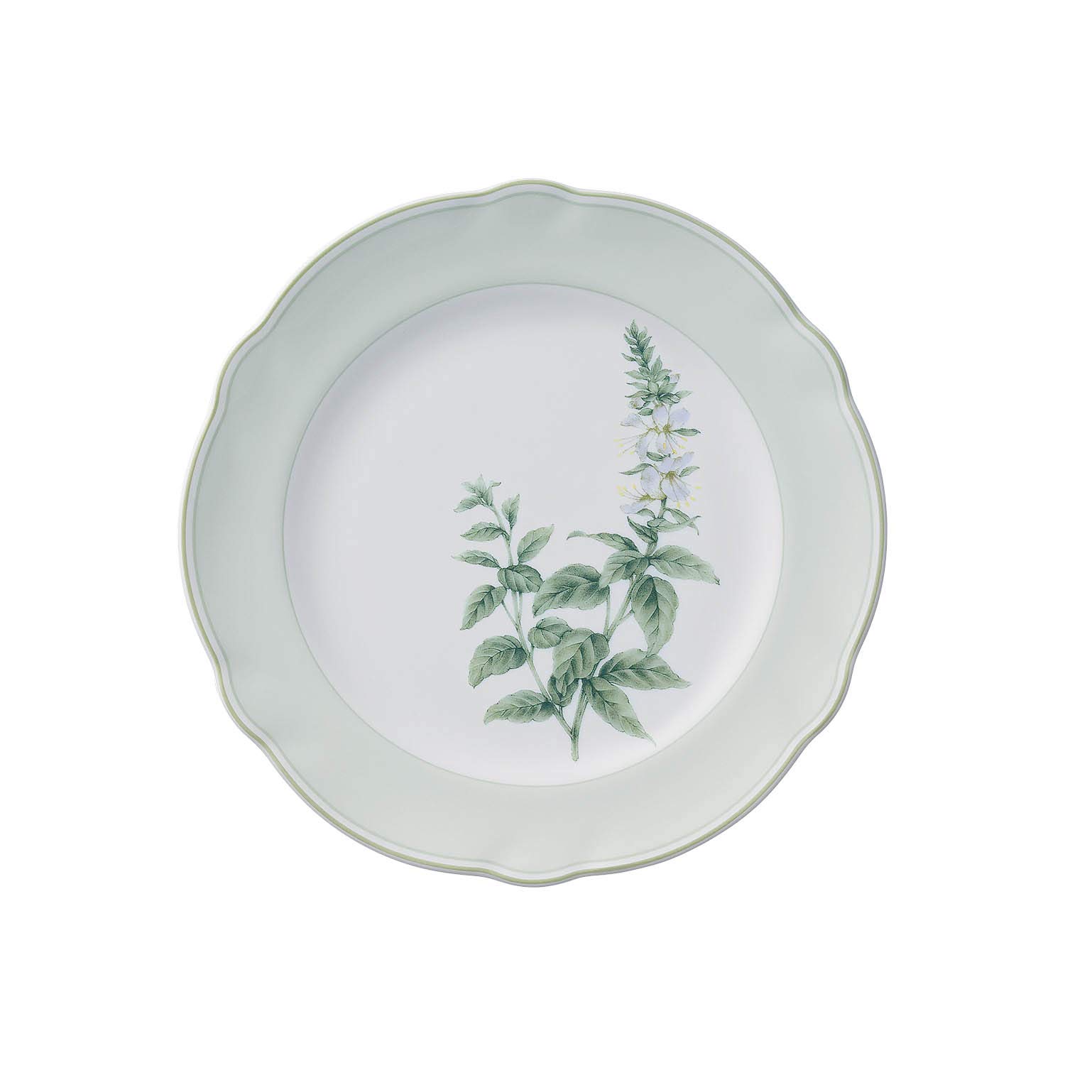 Amazon.co.jp: Noritake ノリタケ プレート 22cm イングリッシュハーブ
