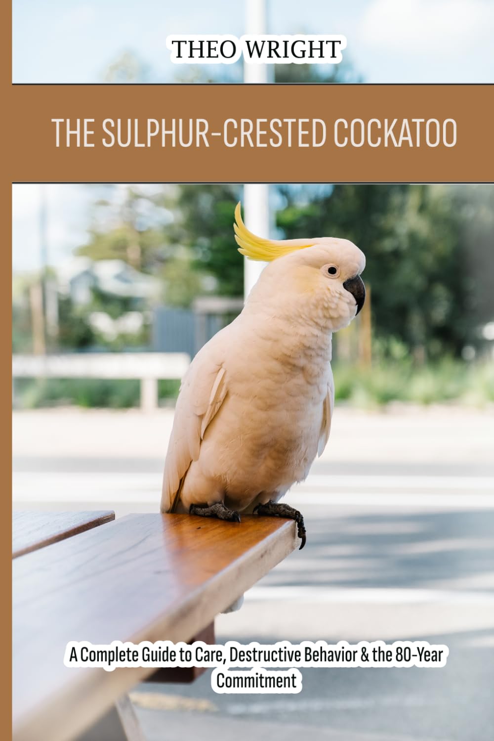 The Sulphur-Crested Cockatoo: A Complete Guide to Care, Destructive Behavior & the 80-Year Commitment