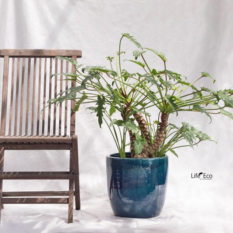 Amazon | 植木鉢 釉薬陶器製 ループ ラウンド ターコイズ