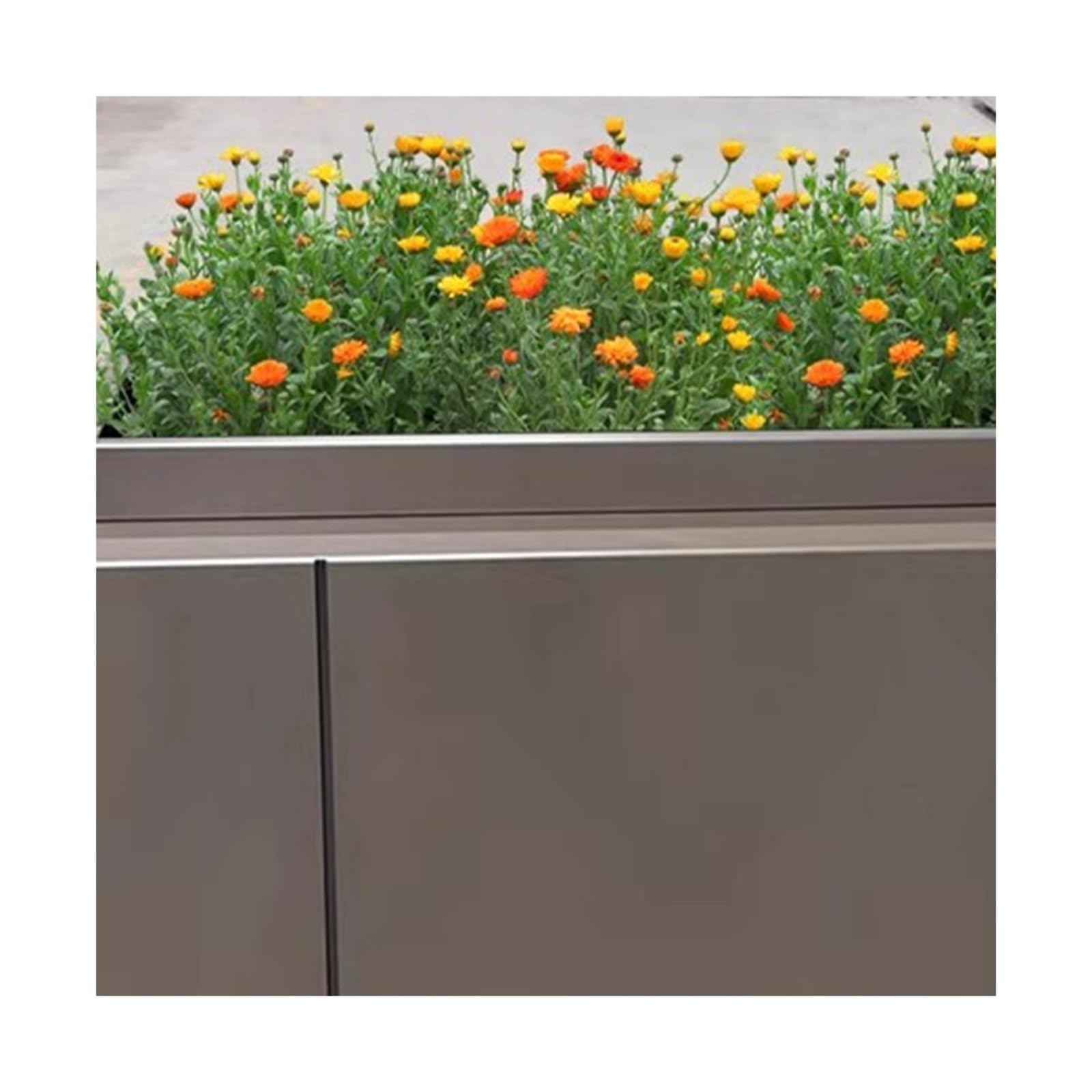 Pudełko do sadzenia Dział sprzedaży Outdoor Flower Box Square Handel Ogród