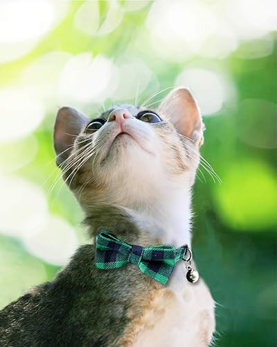 Vista 103 de Collar Joytale con corbatín y campana, lindos patrones de cuadros, 1 o 2 unidades de collares de seguridad para gato, Rojo