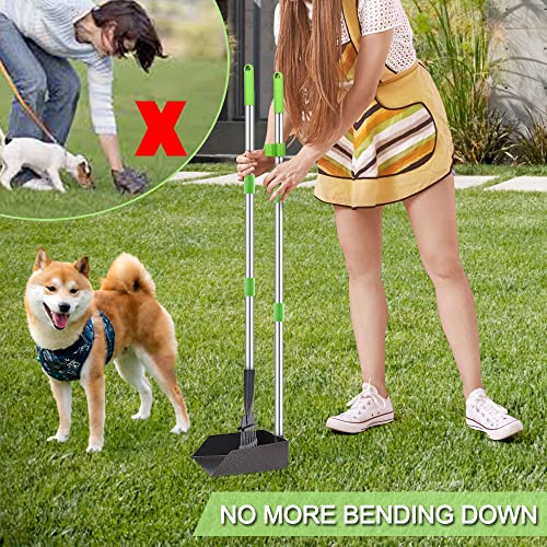 Image of TNELTUEB Dog Pooper Scooper, Metal Pet Poop Tray and Rake with Long Stainless Handle Best Bin with Rake for Large Dog (2 Pcs Green)