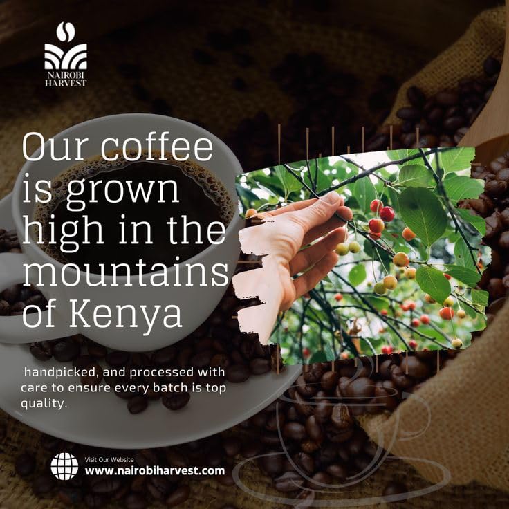 Nairobi Harvest Café en Grano Tostado Medio 12 Oz miniatura 2