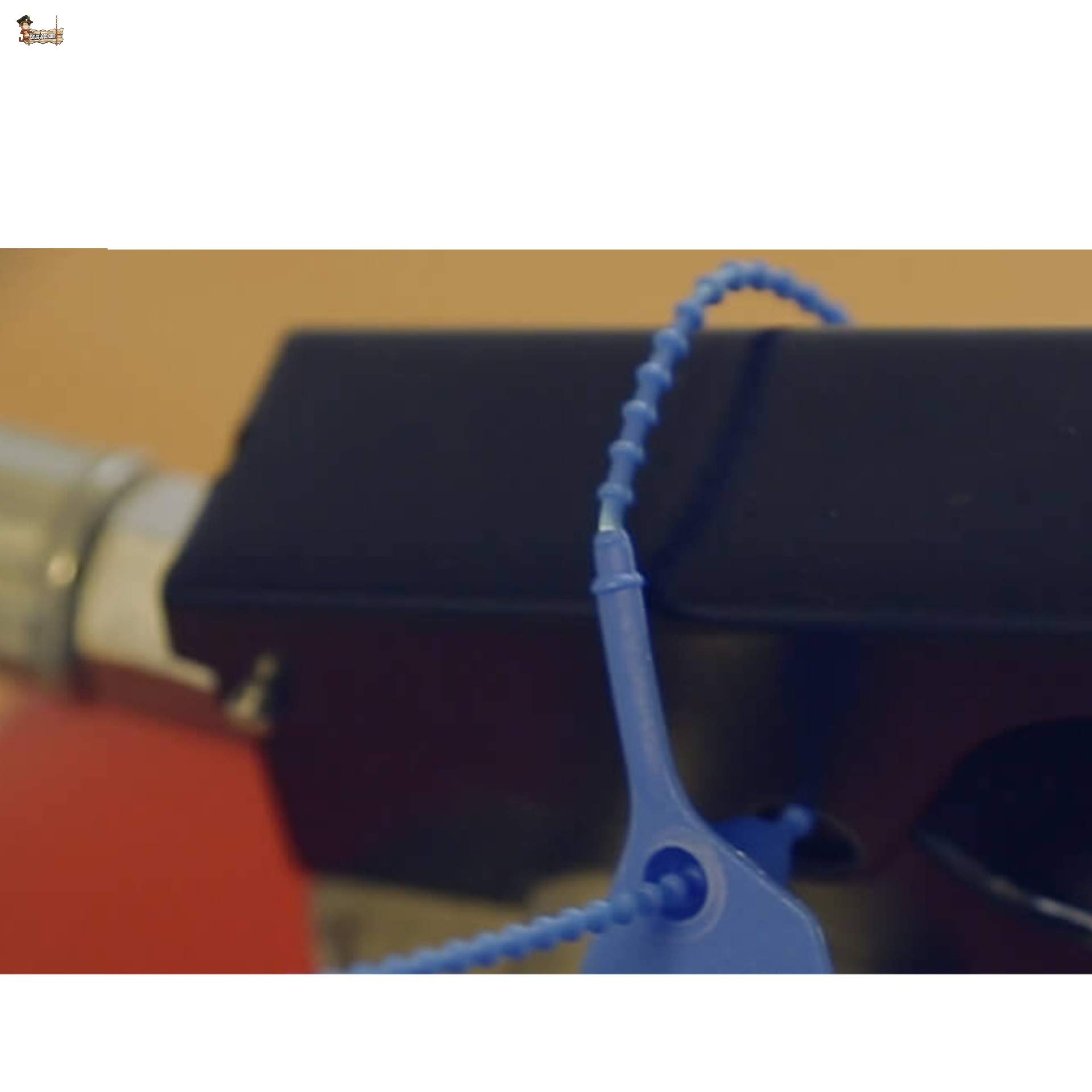 BricoLoco Brida precinto de seguridad de plástico numeradas. Abrazadera de cierre para maleta, cajas, contenedores, puertas, bolsas, camión, logística, cables. Azul. (50)