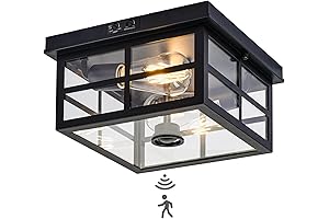Outdoor Flush Mount Ceiling Light with Motion Sensor, 2-Light Dusk to Dawn Porch Light Fixture