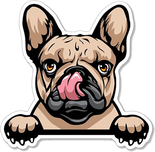 Peeking - Calcomanías de bulldog francés (paquete de 2) de 4 x 4 pulgadas, calcomanías de vinilo para autos, ventanas de automóvil, botellas de