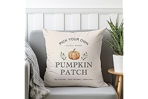 Decorative Pumpkin Pillow Cover