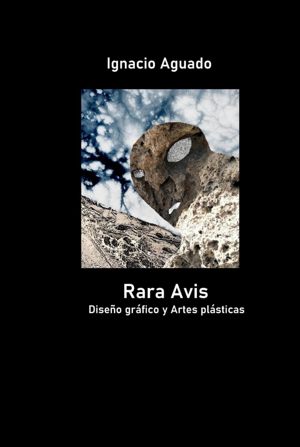 Rara avis Diseño gráfico y Artes plásticas manuel d'arts visuels