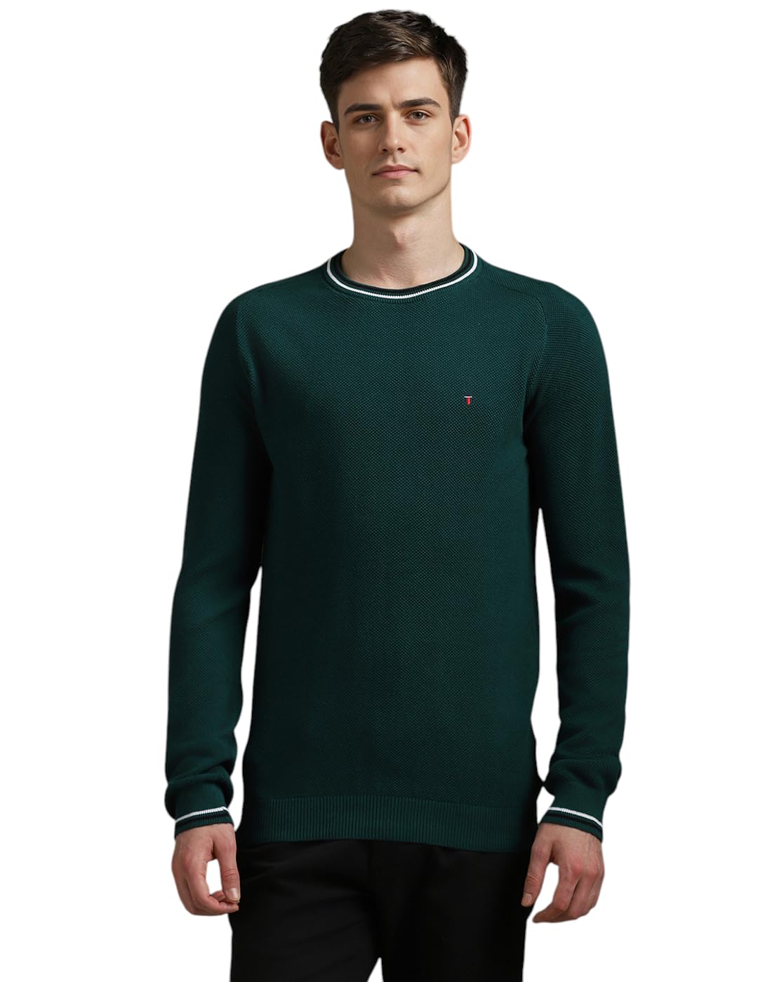louis philippe Men Sweater-picture-16