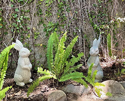 Elly Décor 14 Inch Tall Standing Sculpture For Your Patio & Yard, Outdoor Lawn Décor, Cute Ceramic Figurine Garden Rabbit Bunny Statue, Gray Cement #TOP2